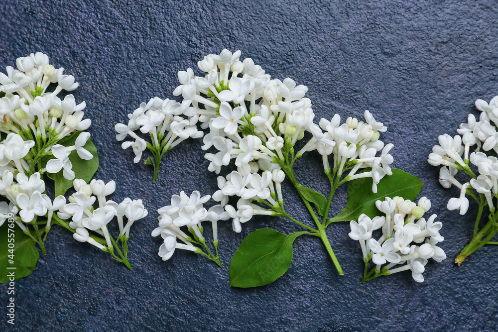 黑暗背景下美丽的丁香花