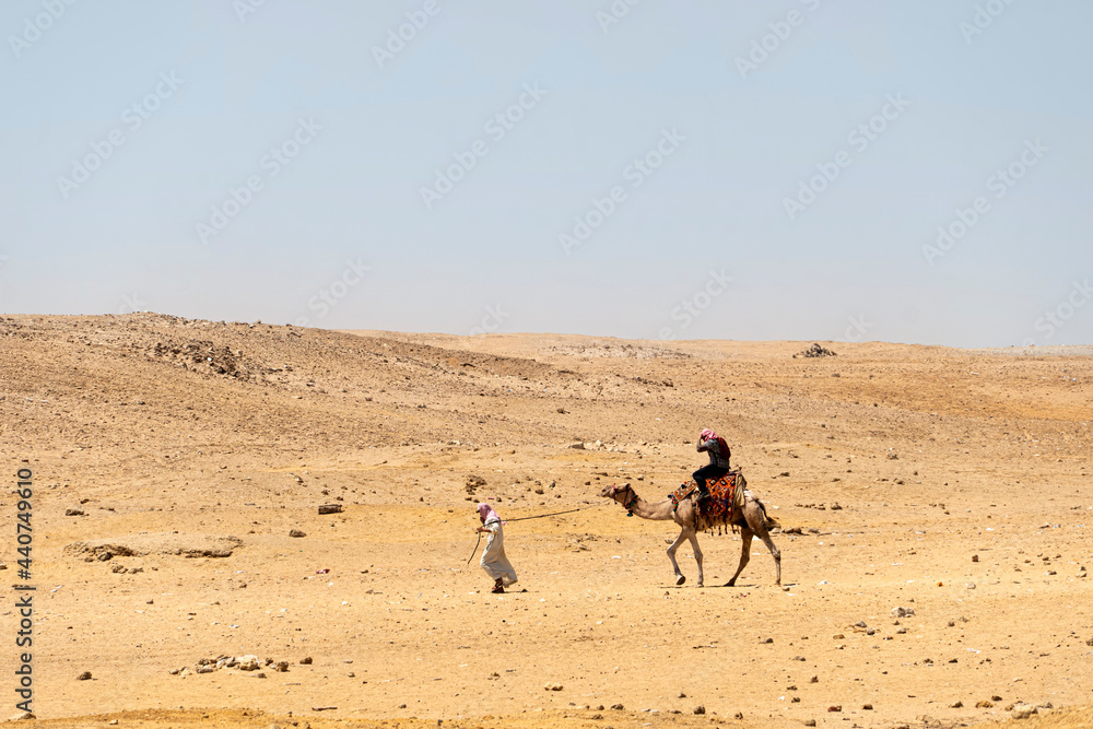 Camel riders in the desert, Egypt. Bedouin leads a camel through the desert.