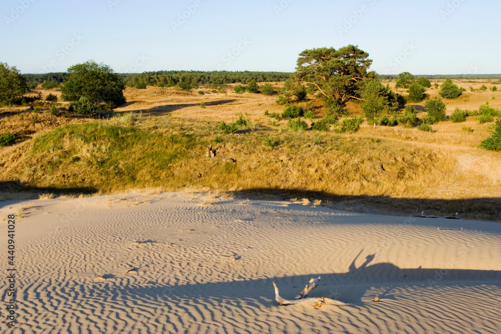 Kootwijkerzand, Kootwijk, Veluwe, Netherlands