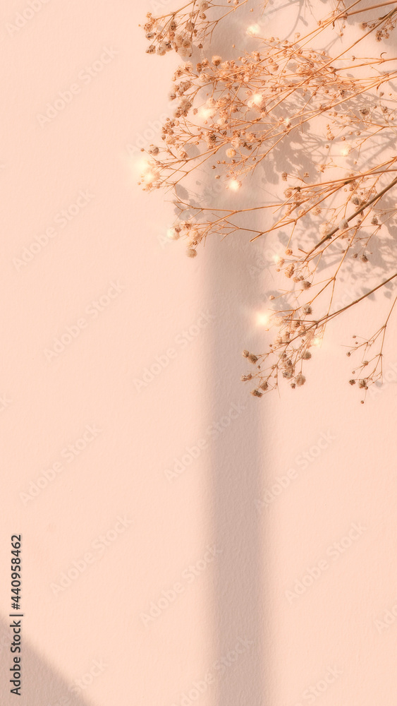 Dried flower window shadow floral background