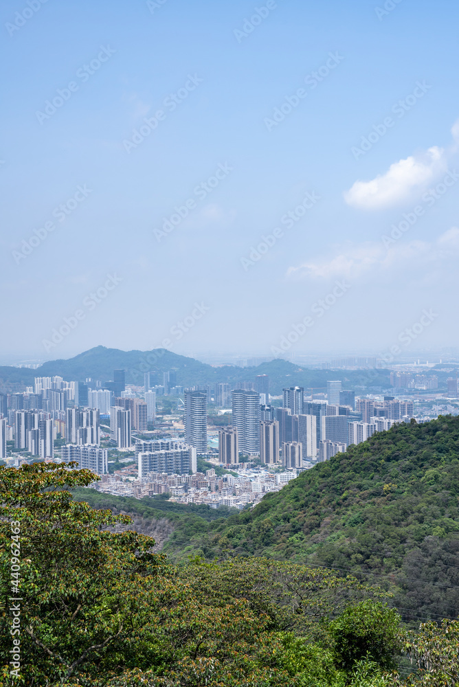 中国广州南沙自由贸易区黄山麓森林公园风景