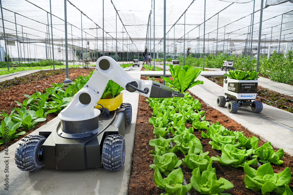 Agriculture robotic and autonomous car working in smart farm, Future 5G technology with smart agricu