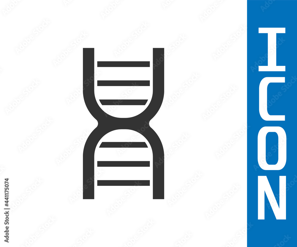 白色背景上分离的灰色DNA符号图标。矢量