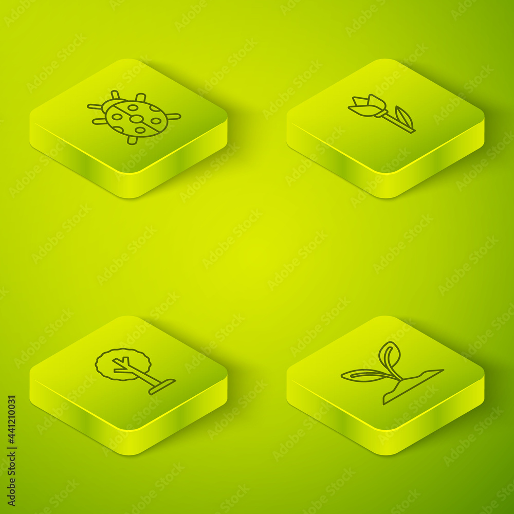 Set Isometric line Flower tulip, Forest, Sprout and Ladybug icon. Vector