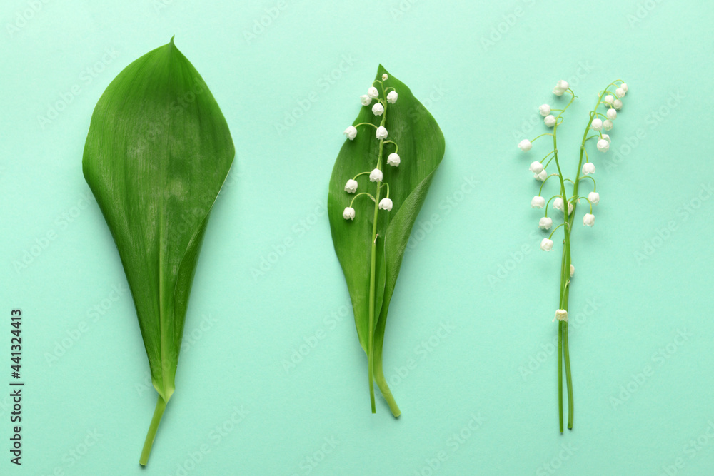 Beautiful lily-of-the-valley flowers on color background