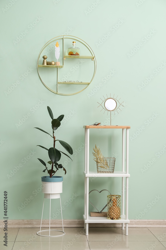 Shelves with decor and houseplant near color wall