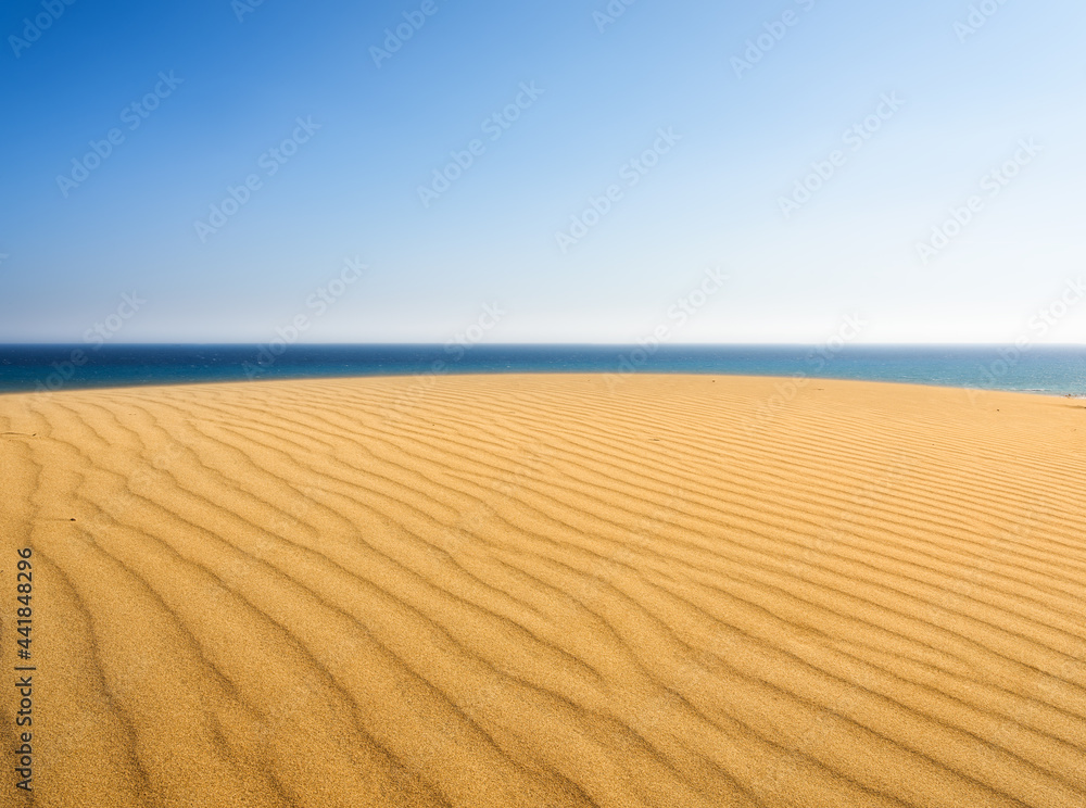 沙漠中的沙丘。白天的风景。沙滩上的线条。沙丘和天空。夏季景观