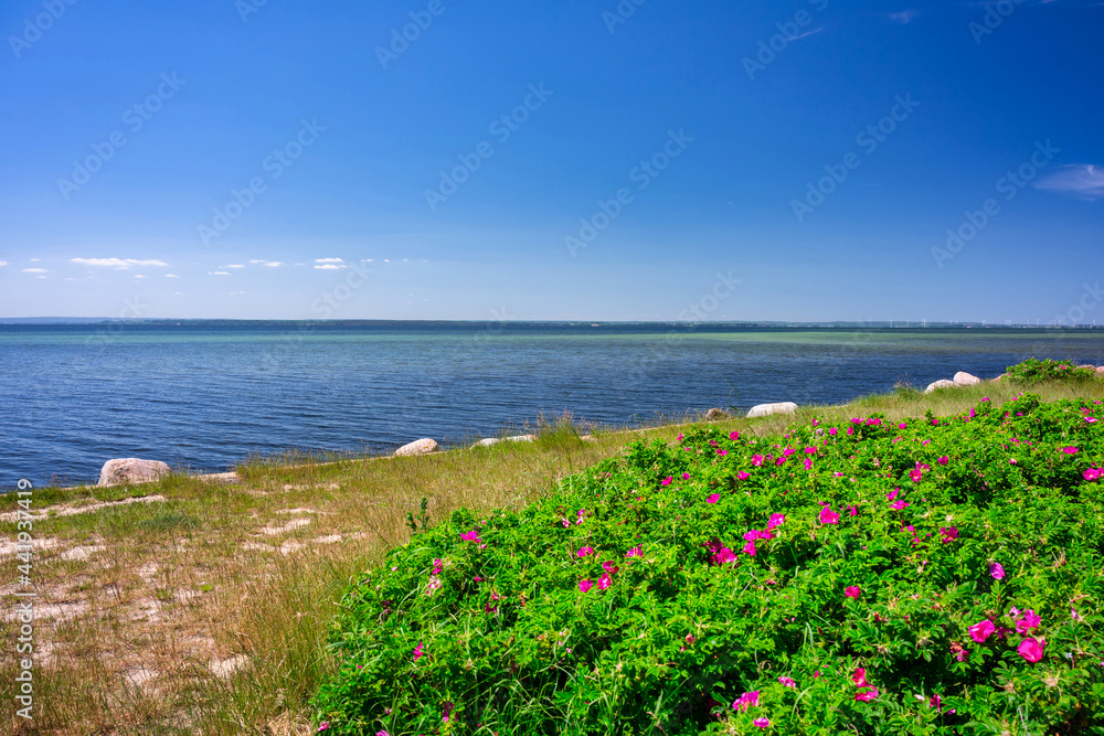 波兰赫尔半岛普克湾夏季的美丽景观