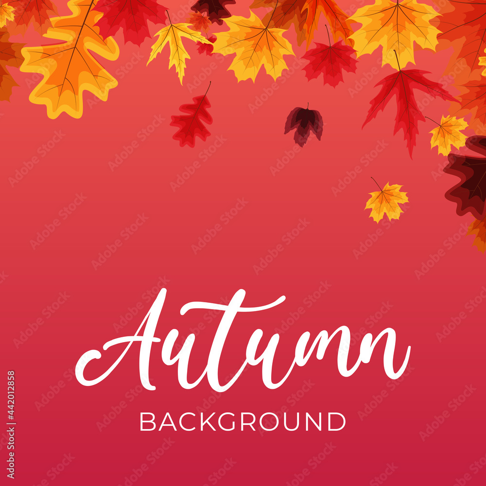 Autumn background with falling leaves. Vector Illustration