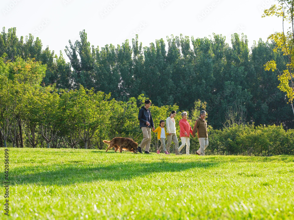 幸福的五口之家和公园里散步的宠物狗