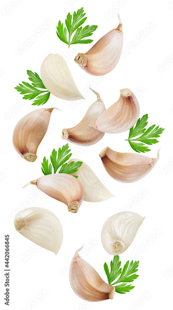 Garlic isolated on white background