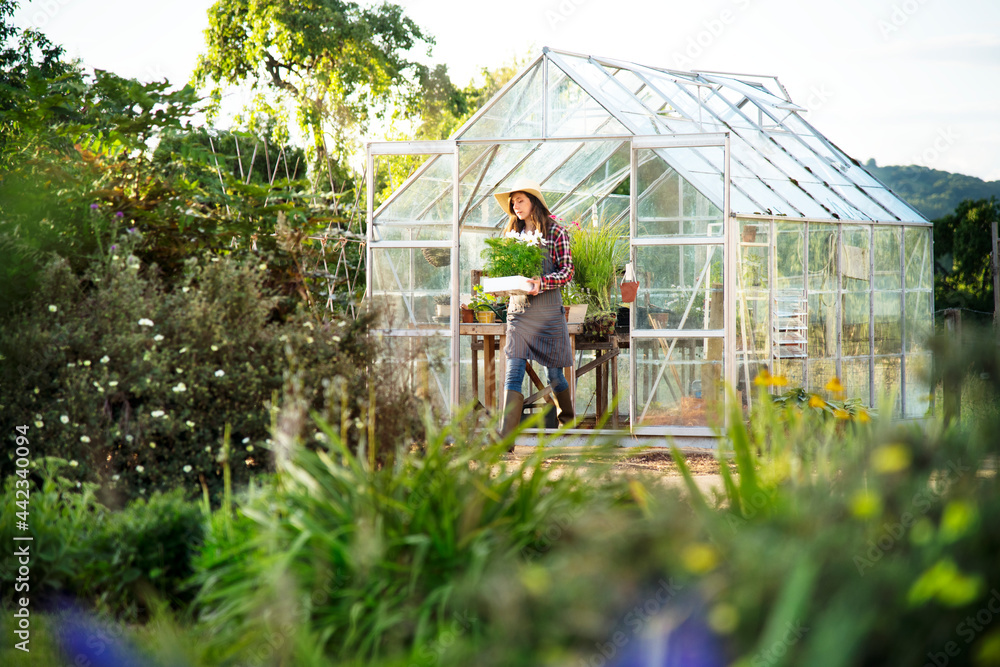 Young woman working at a glass greenhouse