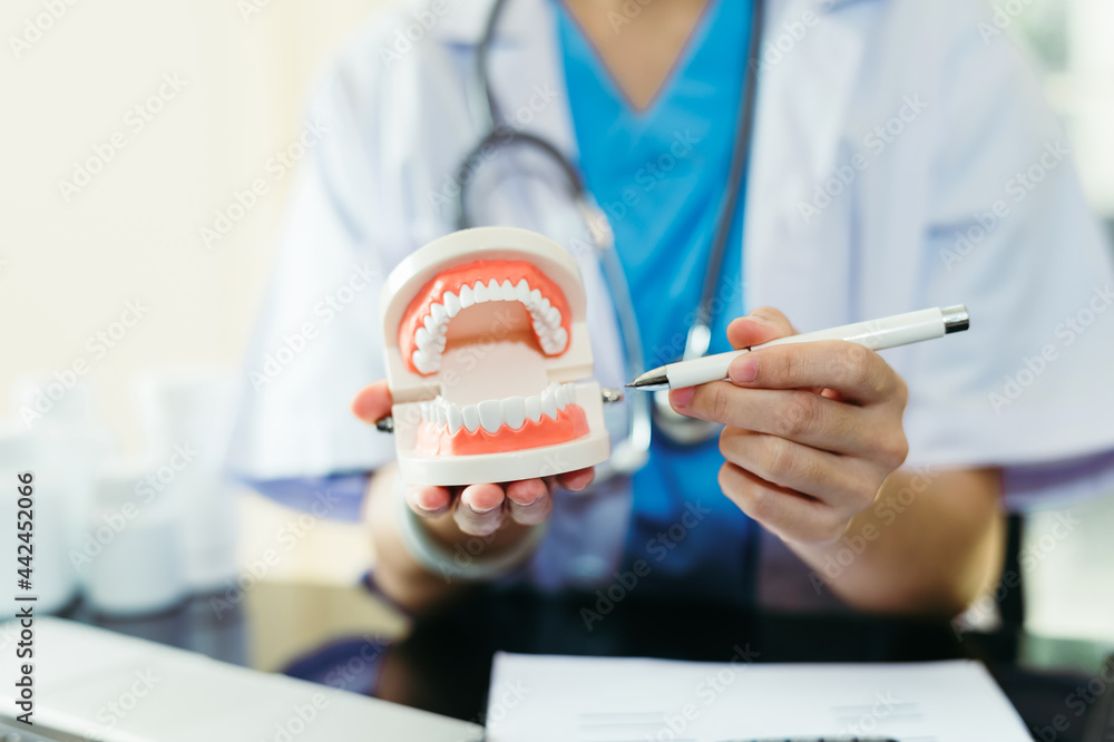 Concentrated dentist sitting at table with jaw samples tooth model and working with tablet and lapto