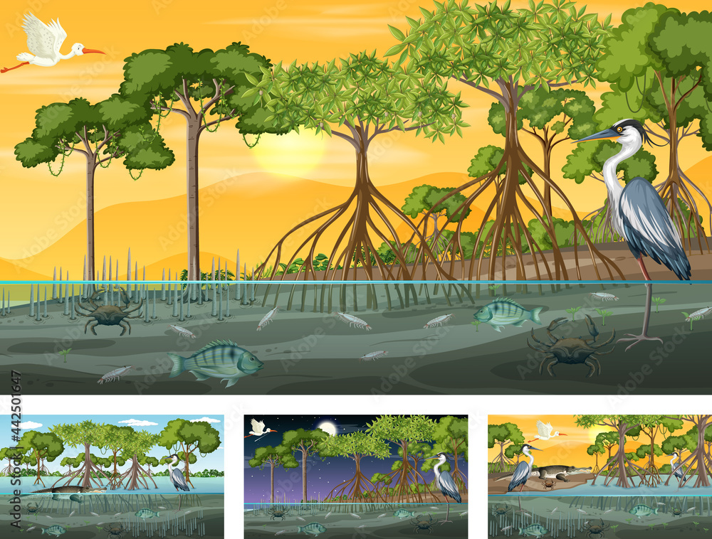 Different mangrove forest landscape scenes with various animals