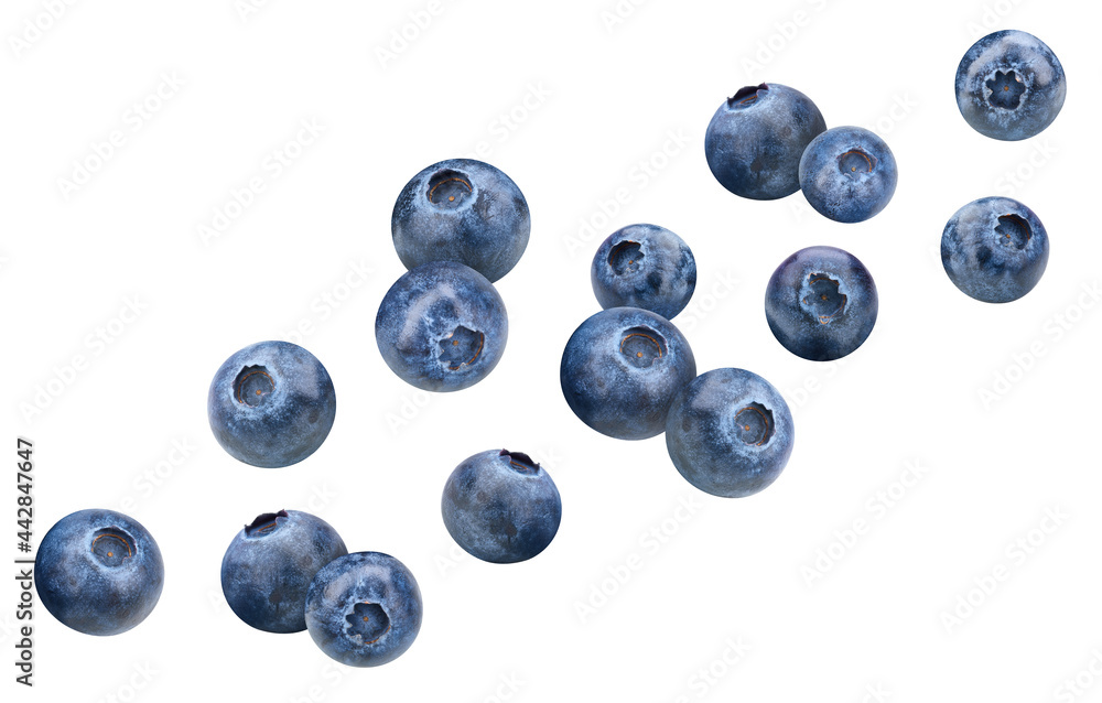 Organic blueberry isolated on white background