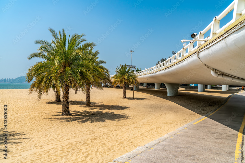 厦门海路桥景观