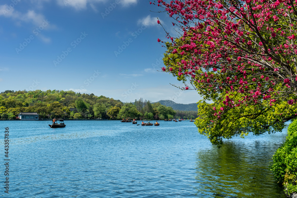 杭州西湖美景