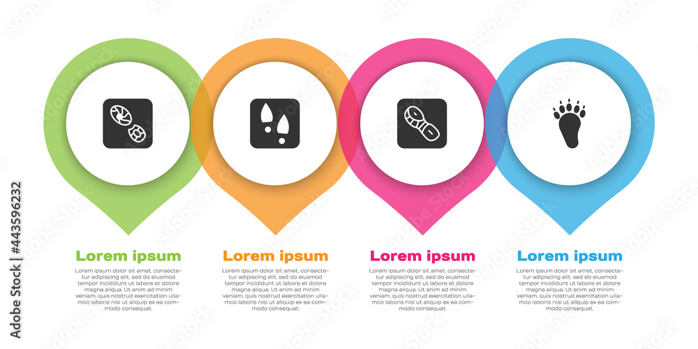 设置人类足迹鞋和熊掌。商业信息图模板。矢量