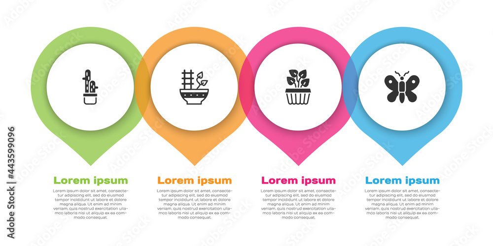 将仙人掌放在花盆、植物、室内植物常春藤和蝴蝶中。商业信息图模板。Vect