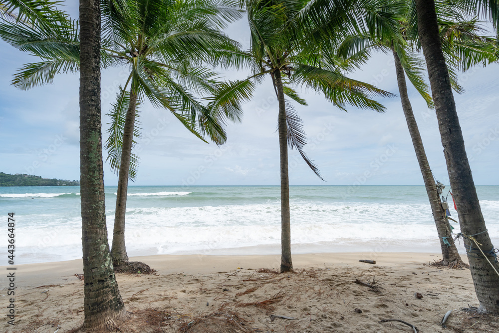 Summer season background amazing Coconut palm trees Beautiful natural tropical background beautiful 