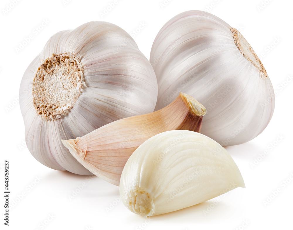 Fresh organic garlic. Garlic isolated on white background. Garlic Clipping path.