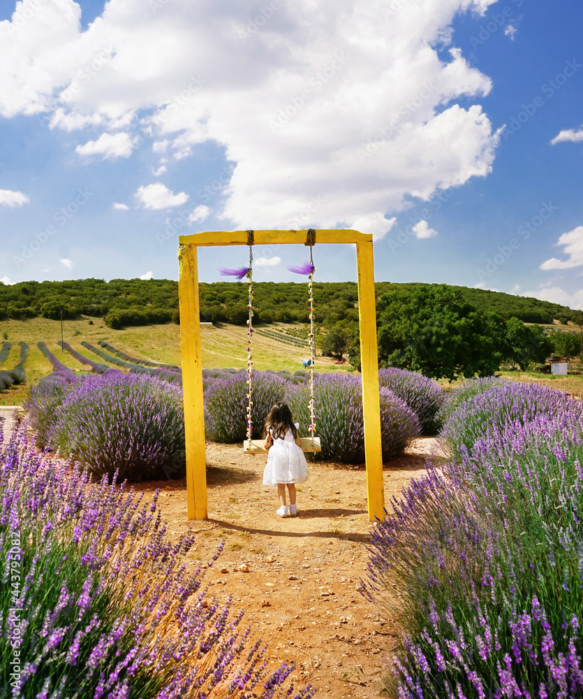 Little girl on swing in white dress in field of lavender flowers on sunny summer day.