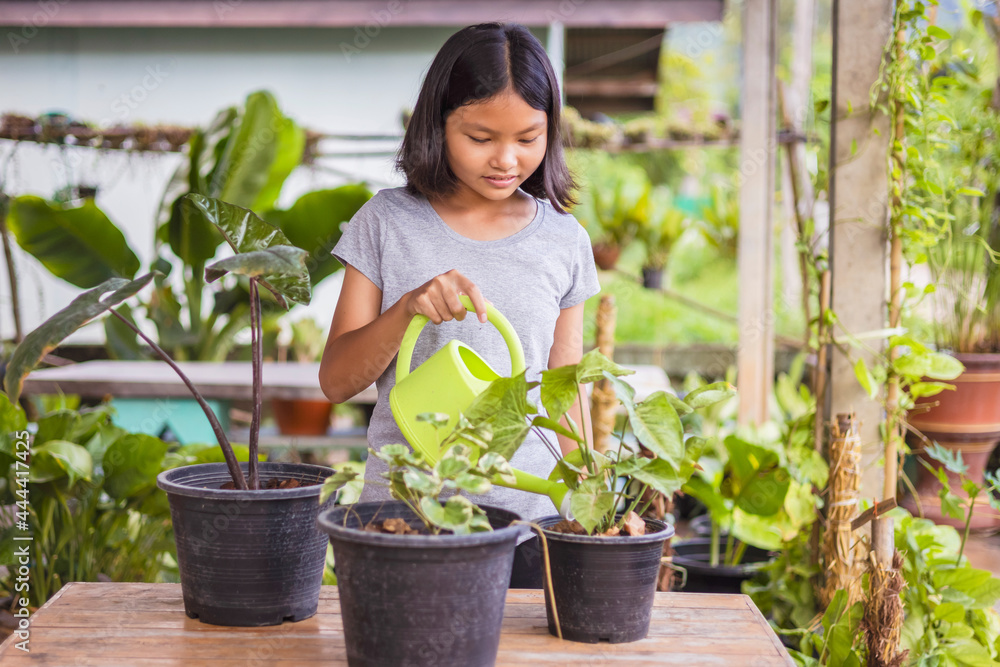 亚洲小女孩正在花园里的花盆上给植物浇水