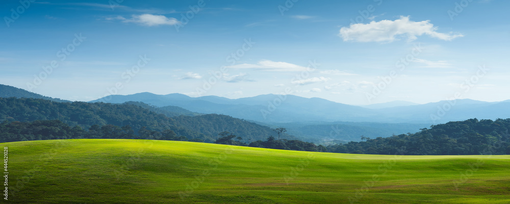 绿地和山地景观全景