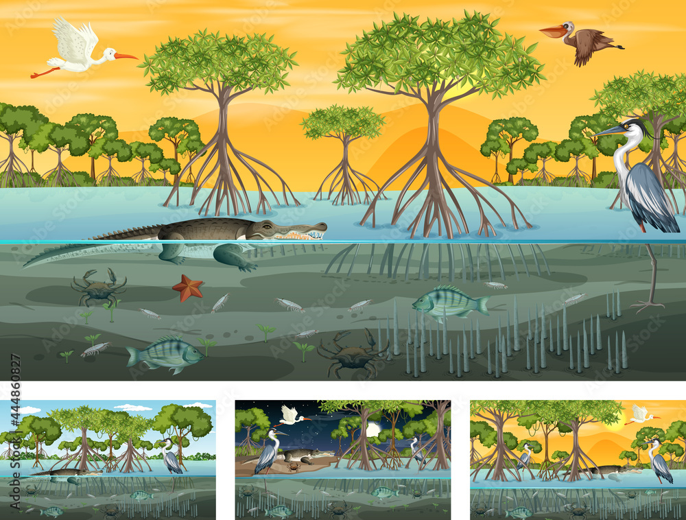 Different mangrove forest landscape scenes with animals