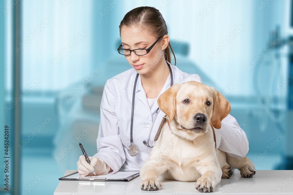 Veterinarian.