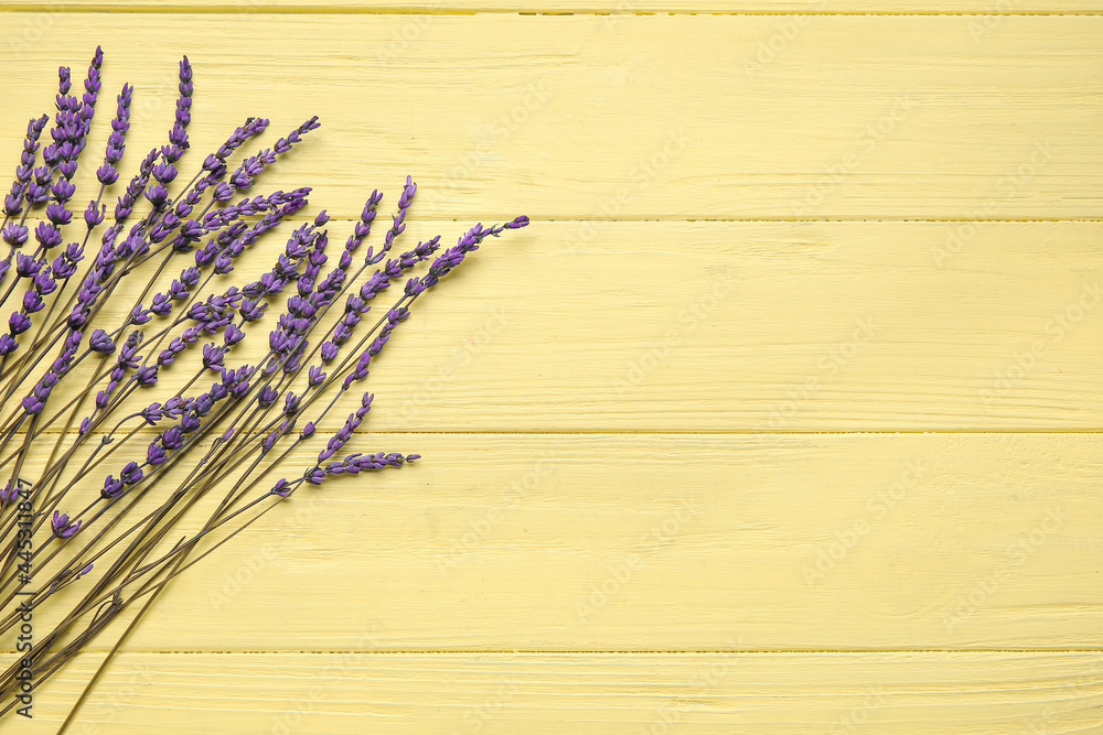 Beautiful lavender flowers on color wooden background