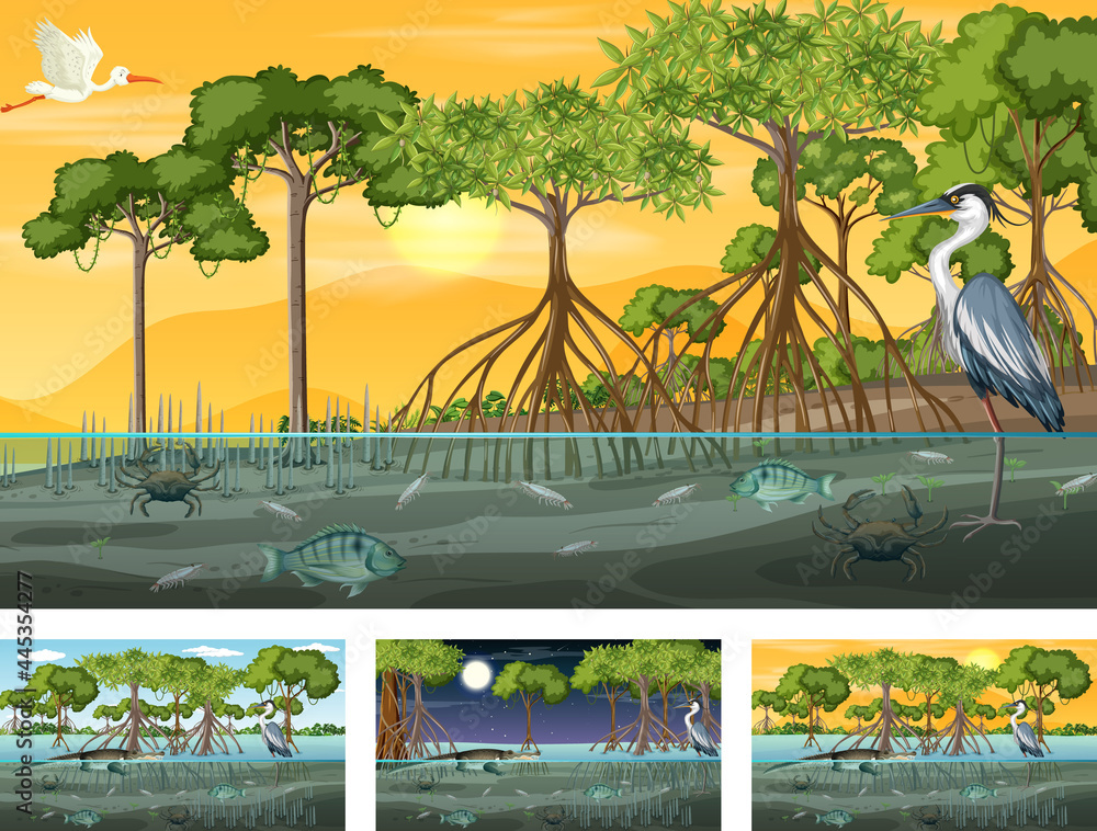 Different mangrove forest landscape scenes with animals