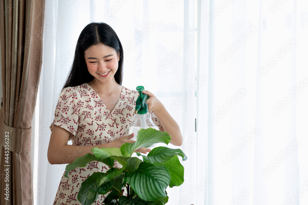 年轻的亚洲女人在花盆里喷洒植物。女人在照顾室内植物。女人照顾植物