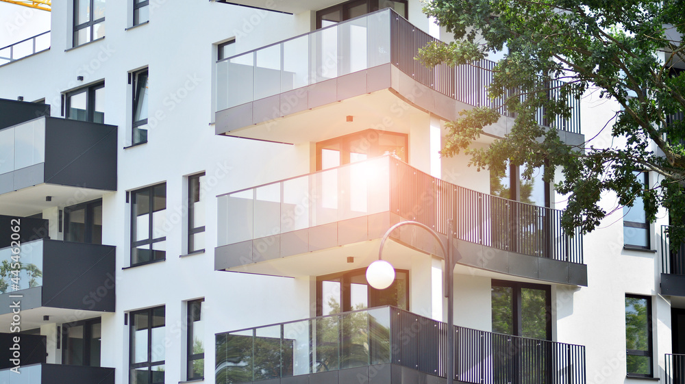 Eco architecture. Green tree and apartment building. The harmony of nature and modernity.