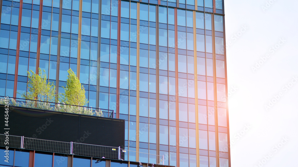 Eco architecture. Green tree and glass office building. The harmony of nature and modernity. Reflect