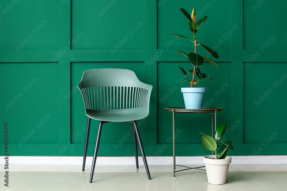 Modern armchair and table with houseplants near color wall