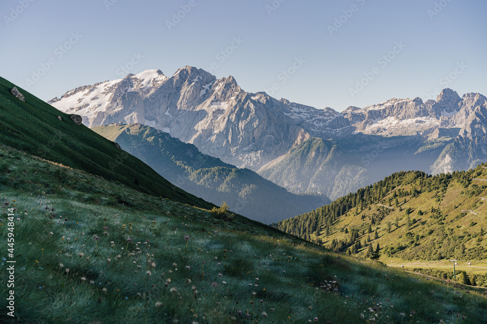 Morning view of the Marmolada north face and beautiful alpine meadows of Dolomites, Italy. Summer al