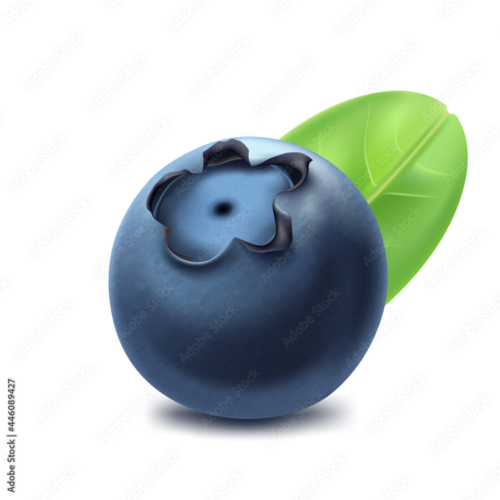 Blueberry with leaves, wild berry, ripe, juicy fruit, healthy food. Vector icon.