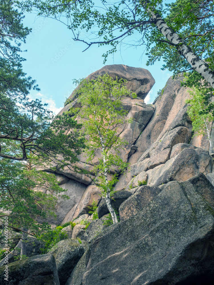 High forest rocks for advanced hiking and alpinism.