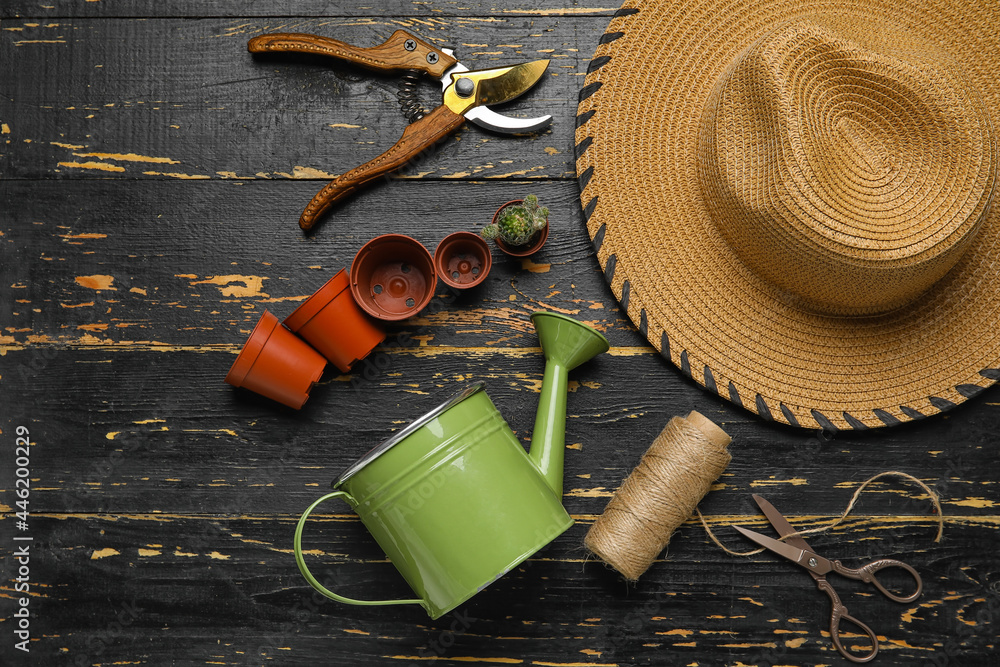 Watering can, houseplant and gardening tools on dark wooden background