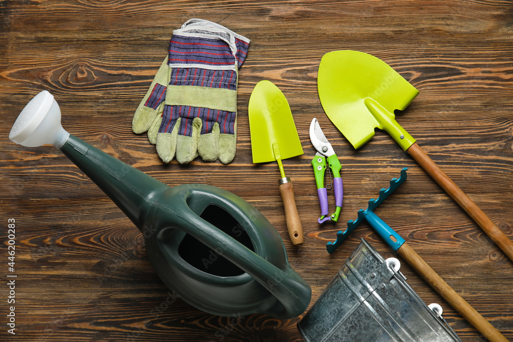 Watering can and gardening tools on wooden background