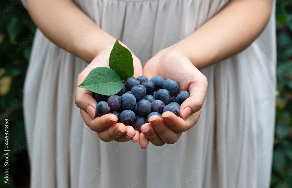 Close-up of a handful of fresh blueberries..