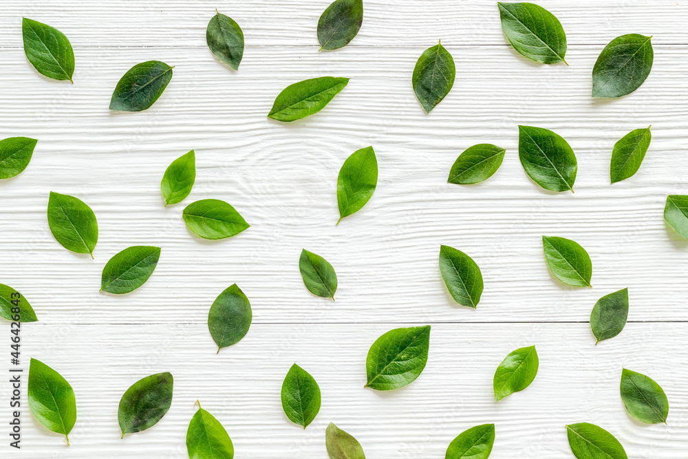 Layout of trees leaf branches. Floral background top view