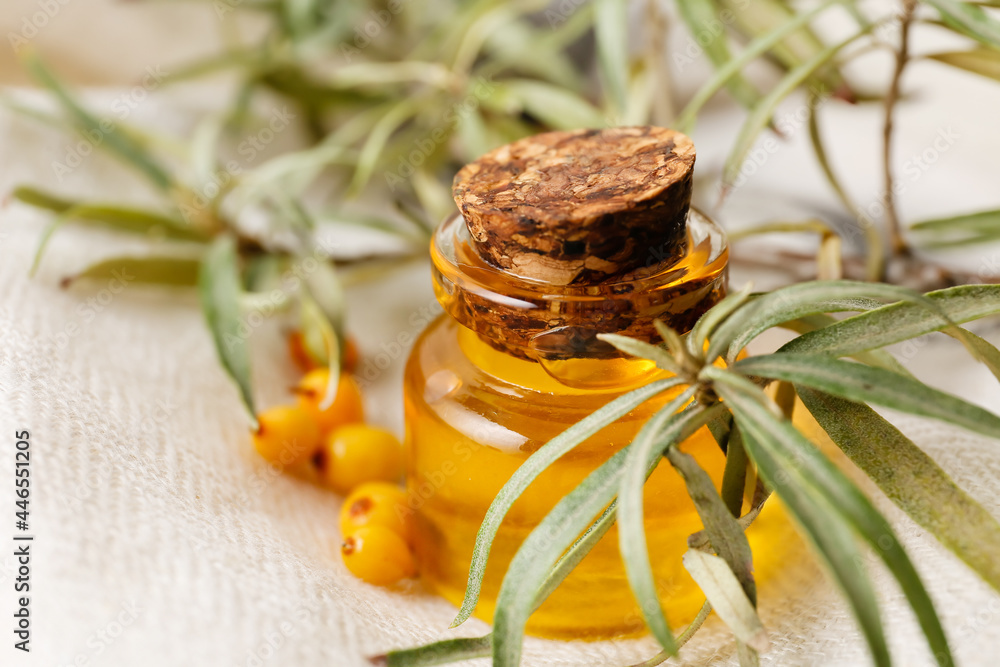 Bottle of sea buckthorn essential oil on light background, closeup