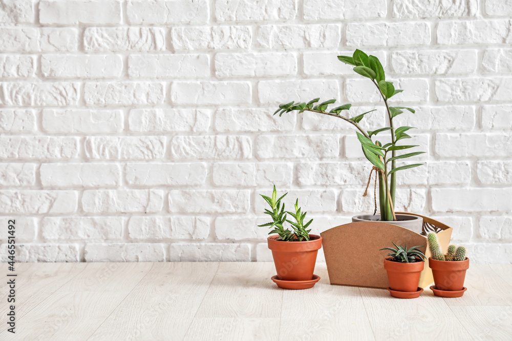 Different houseplants in pots on floor near white brick wall