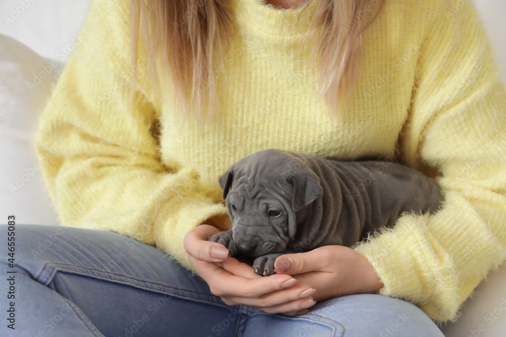 Owner with cute puppy at home