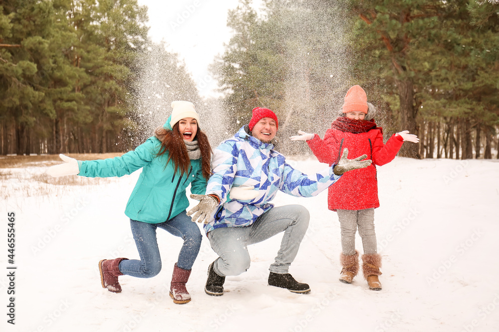 冬日快乐的一家人在公园里玩雪球