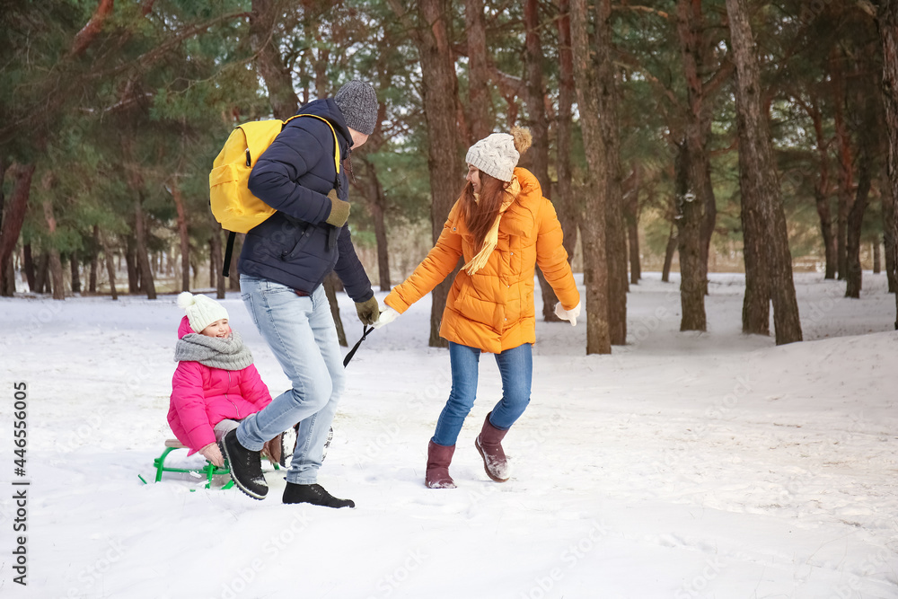 冬日快乐全家在公园玩雪橇