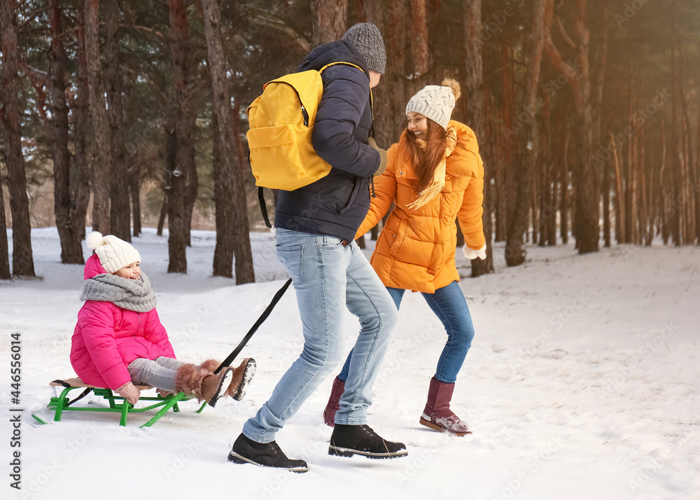 冬日快乐全家在公园玩雪橇