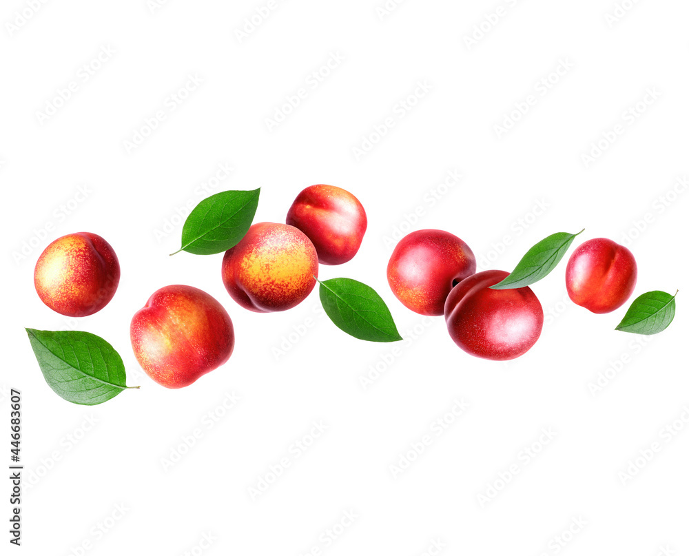 Juicy nectarine peaches with green leaves isolated on white background